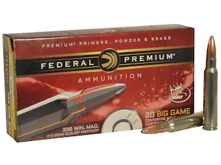 This is 338 win mag ammo picture